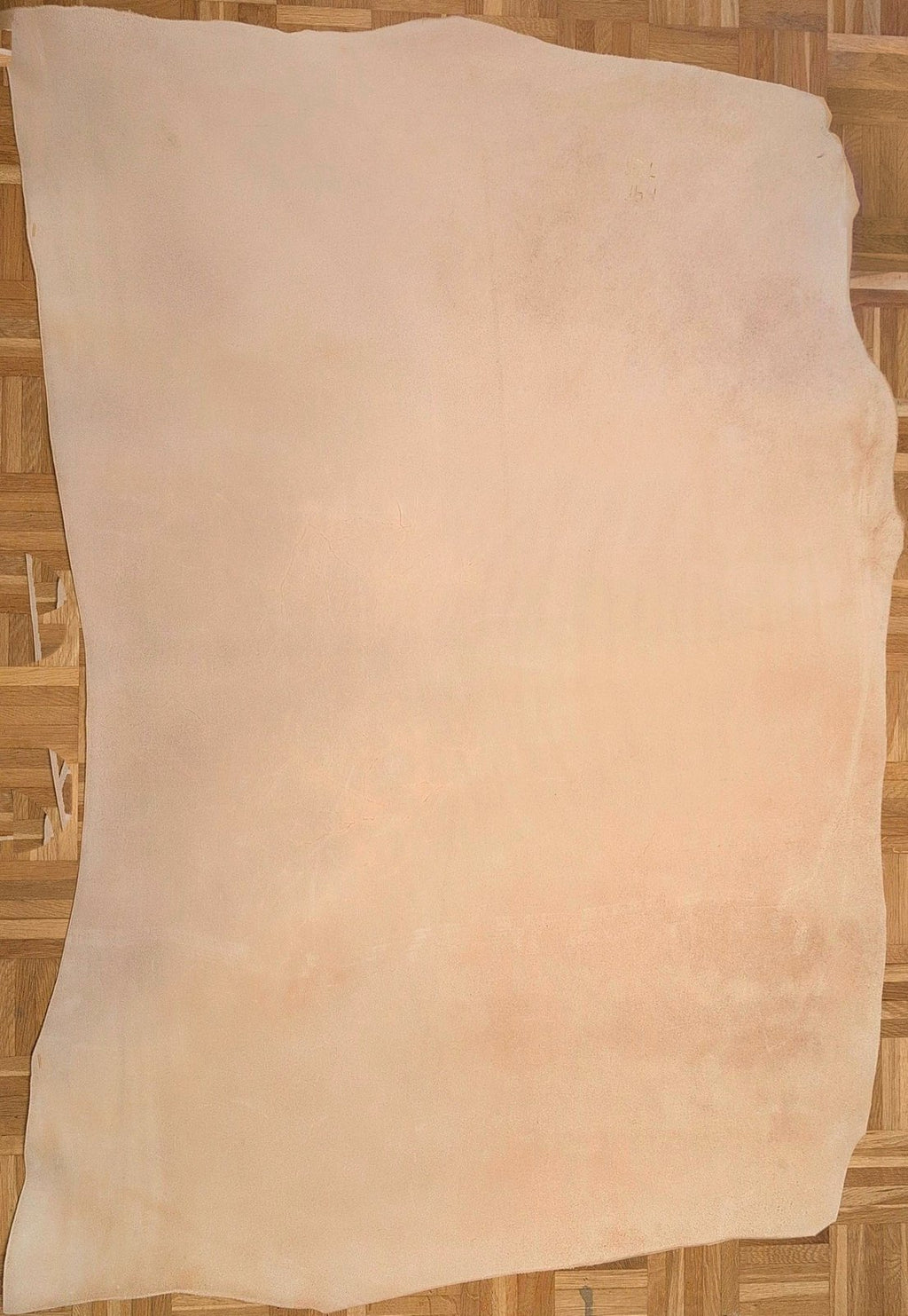 Rindsleder Naturale Crust, pflanzlich gegerbt P-2026-LPA-02, 164 dm² (4)