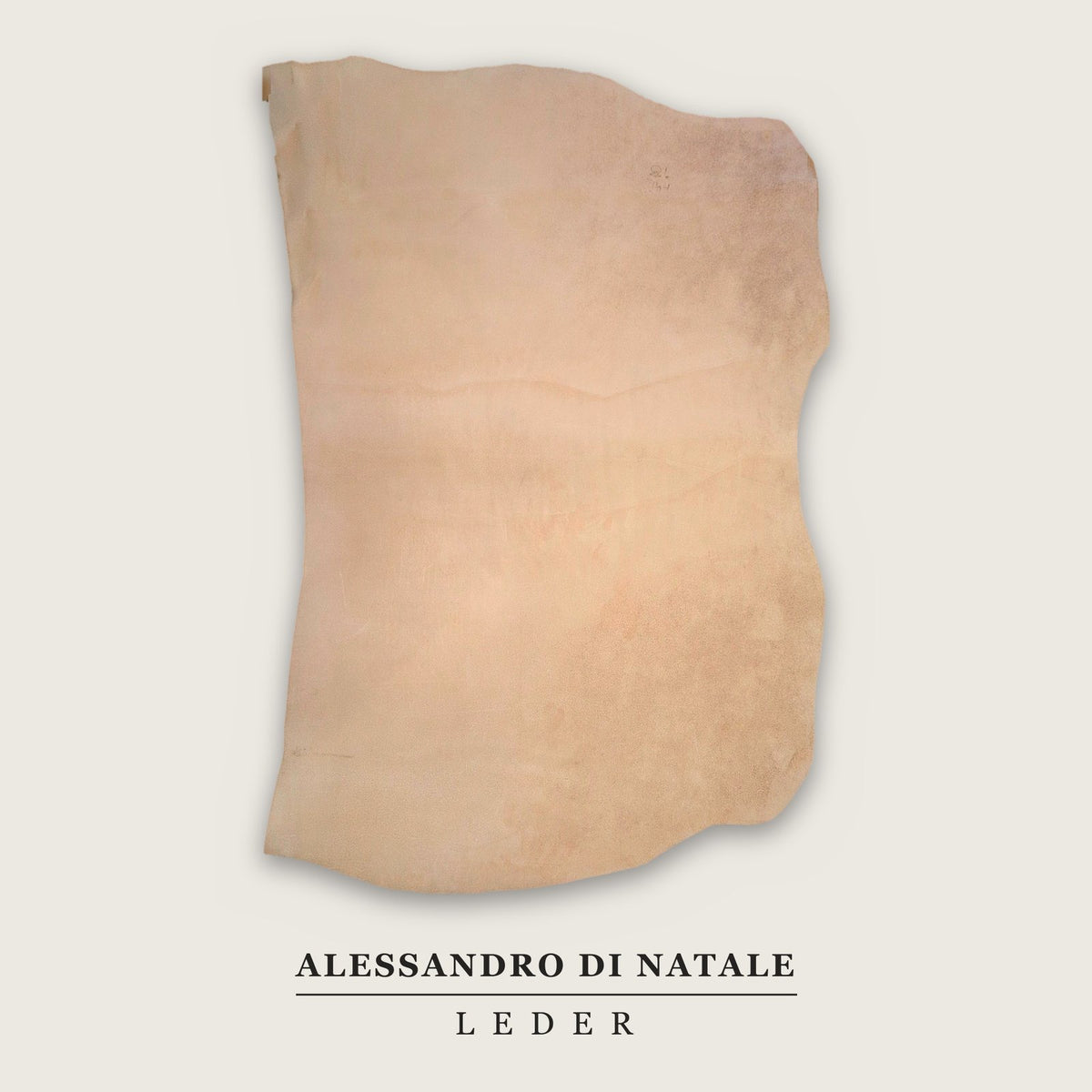 Rindsleder Naturale Crust, pflanzlich gegerbt P-2026-LPA-10, 164 dm² (2)